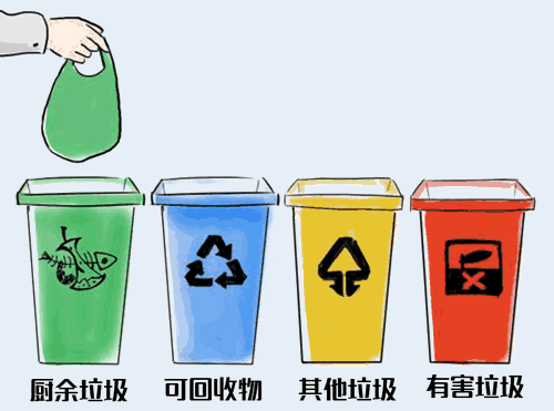垃圾扔错要罚款了!干垃圾、湿垃圾、厨余垃圾…究竟怎么分?快看
