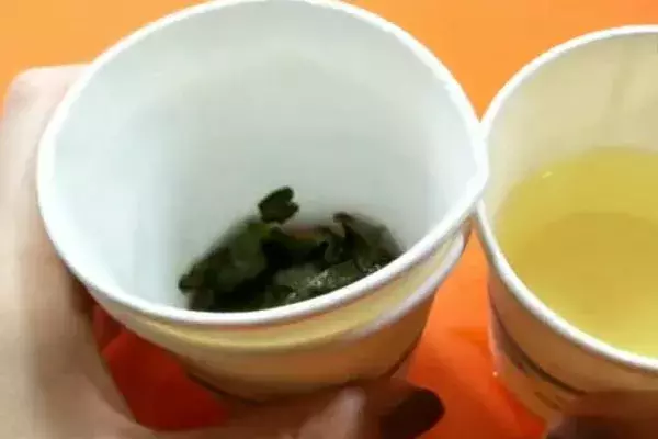 垃圾扔错要罚款了!干垃圾、湿垃圾、厨余垃圾…究竟怎么分?快看