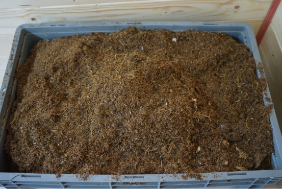 好氧堆肥技术是处理厨余垃圾的最佳方案之一